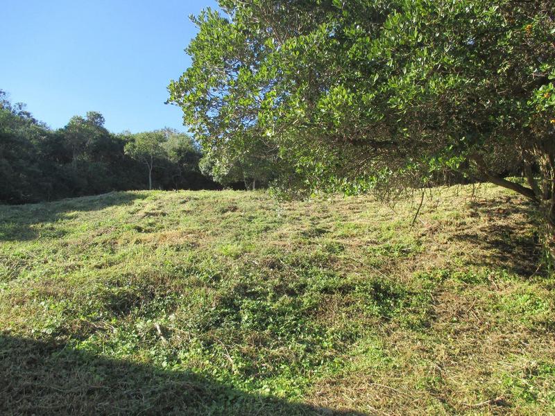 0 Bedroom Property for Sale in Mossel Bay Rural Western Cape